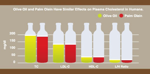 live Oil and Palm Olein Cholesterol Comparison Chart