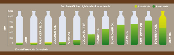 Tocotrienols Content Comparision Chart